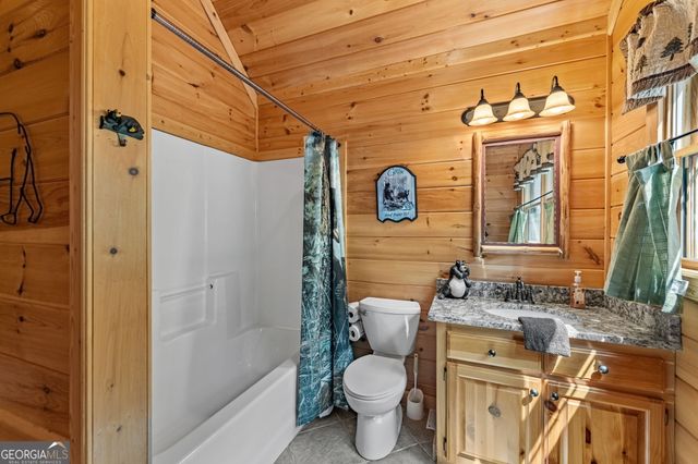 1150 Mountain High Drive, Mineral Bluff, GA 30559