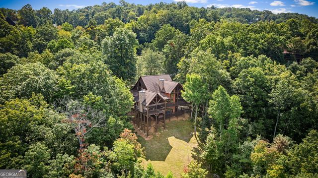 1150 Mountain High Drive, Mineral Bluff, GA 30559