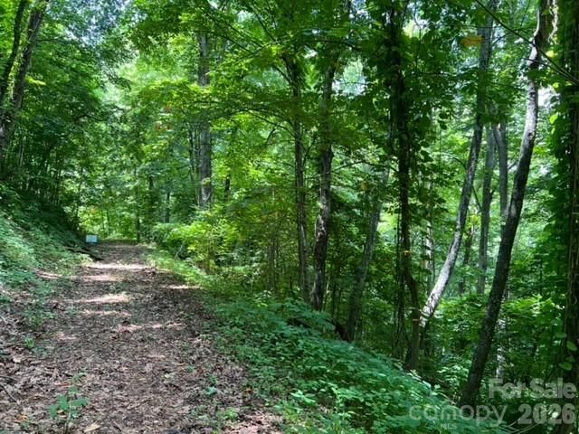 00 Utah Mountain Road, Waynesville, NC 28785
