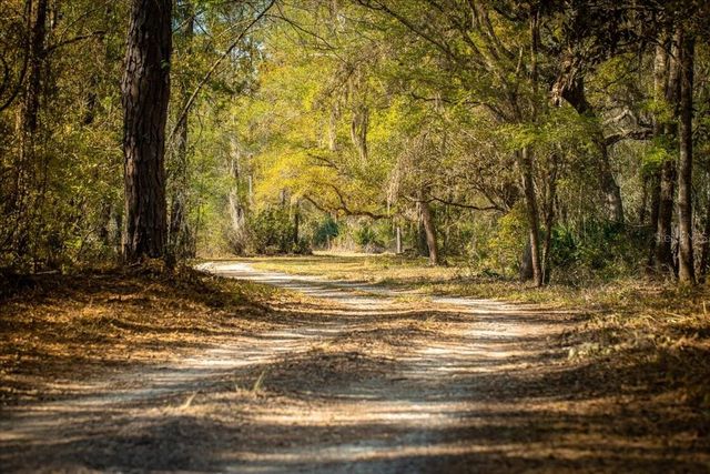 957 NE 354TH AVENUE, Old Town, FL 32680