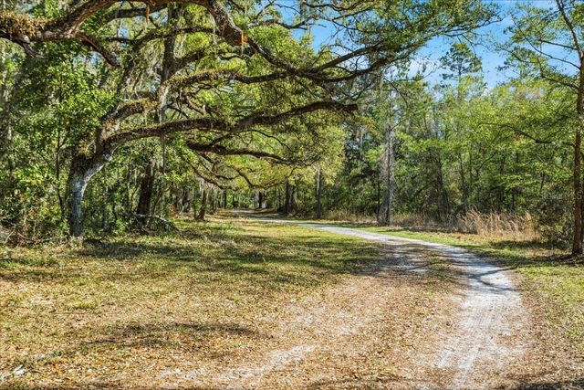 957 NE 354TH AVENUE, Old Town, FL 32680