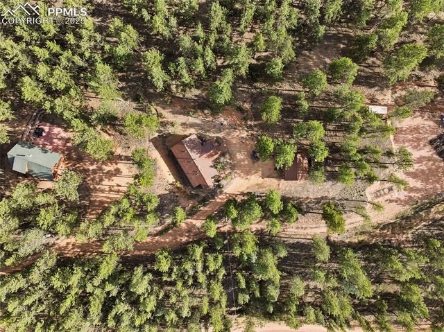 1110 Pikes Peak Drive, Florissant, CO 80816