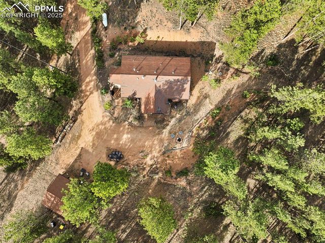 1110 Pikes Peak Drive, Florissant, CO 80816