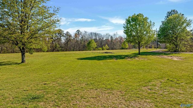 5232 County Road 78, Fort Payne, AL 35967