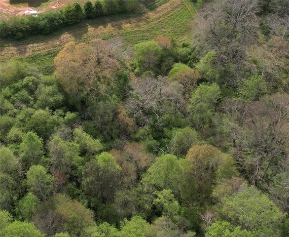 0000 Franklin Goldmine 7.63 acres Road, Cumming, GA 30028