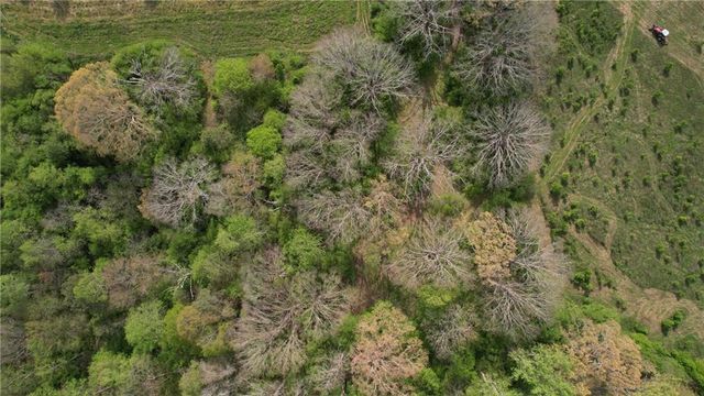 0000 Franklin Goldmine 7.63 acres Road, Cumming, GA 30028