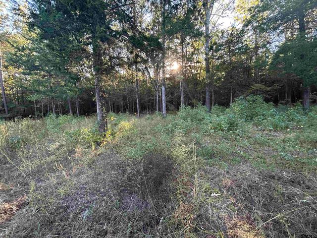 255 CR 4247, Pittsburg, TX 75686