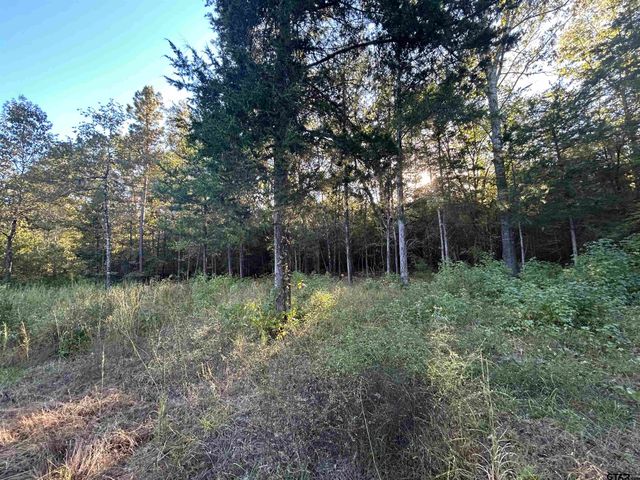 255 CR 4247, Pittsburg, TX 75686