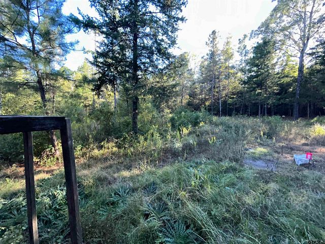 255 CR 4247, Pittsburg, TX 75686