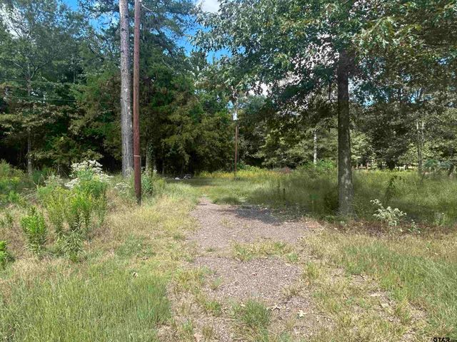 255 CR 4247, Pittsburg, TX 75686