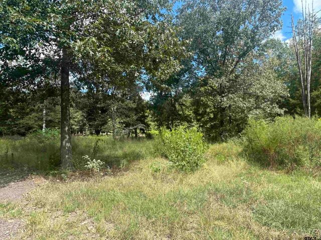 255 CR 4247, Pittsburg, TX 75686