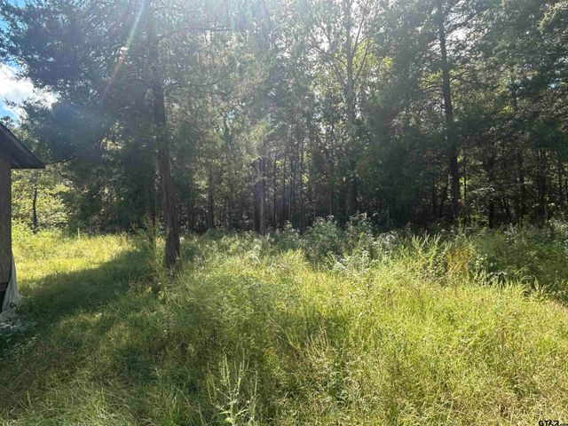 255 CR 4247, Pittsburg, TX 75686