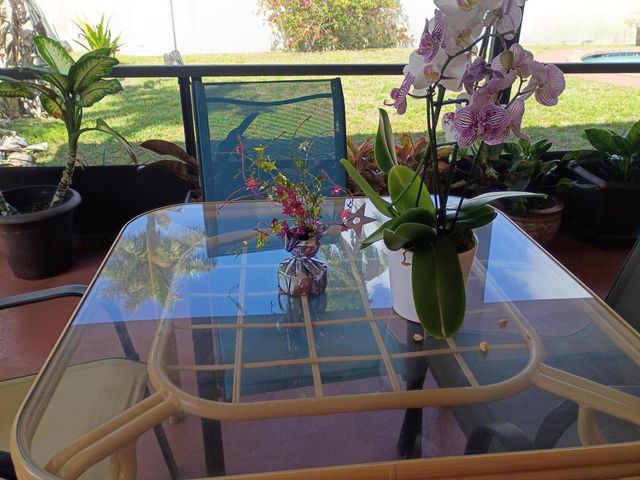 7401 NW 49th Court, Lauderhill, FL 33319