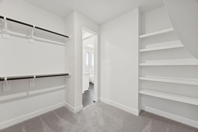 8818 Incandesce Rise Drive, Richmond, TX 77406