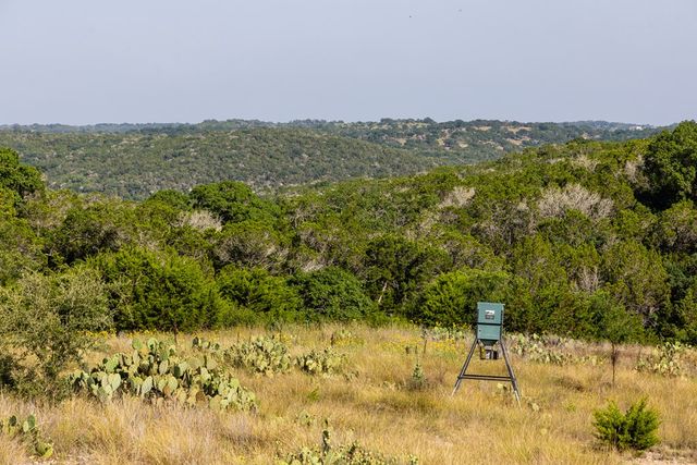 174 Cedar Rock Trail, Hunt, TX 78024