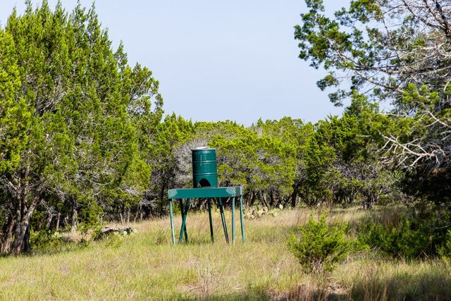 174 Cedar Rock Trail, Hunt, TX 78024