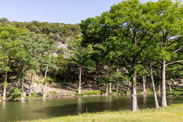 174 Cedar Rock Trail, Hunt, TX 78024