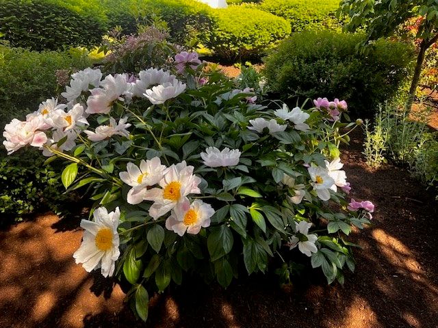 15 Cass Street 3, Boston, MA 02132