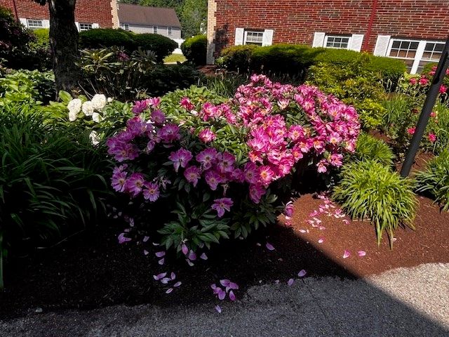 15 Cass Street 3, Boston, MA 02132