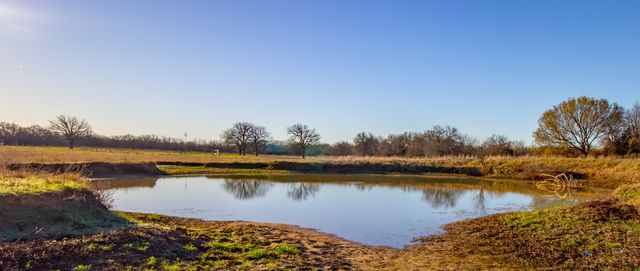 1300 Rodgers Road Rodgers Road, Sunset, TX 76270