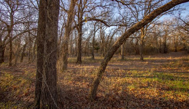 1300 Rodgers Road Rodgers Road, Sunset, TX 76270