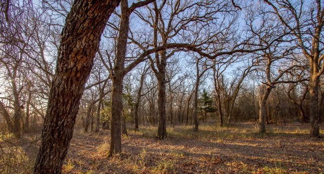 1300 Rodgers Road Rodgers Road, Sunset, TX 76270