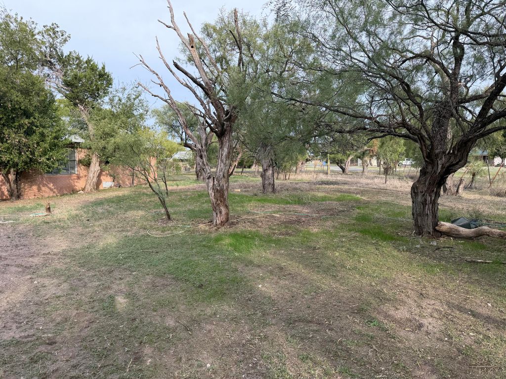 Image 12 of property listing at 745 Broadway Street, Mereta, TX 76940