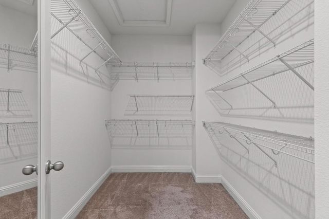 38881 Photinia Place, Newark, CA 94560