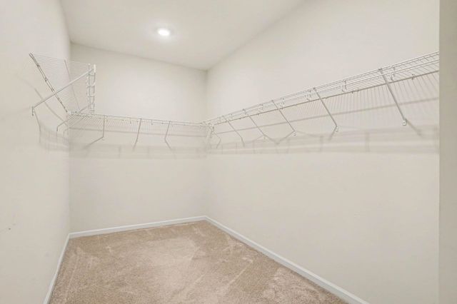 579 Shellbark Dr., Longs, SC 29568