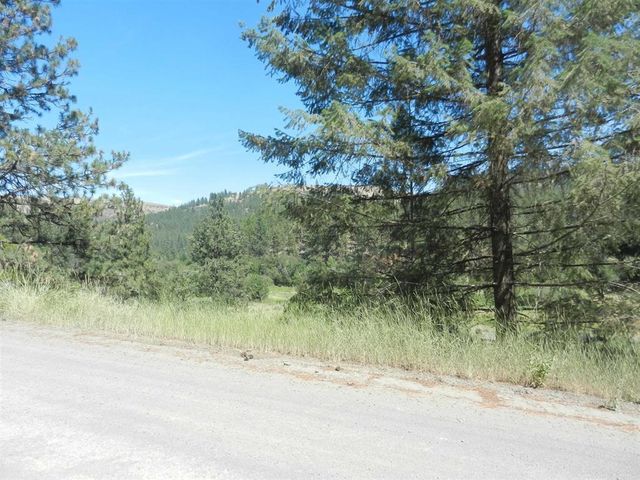 Tracts 126/127 Hawk Creek Ranch Rd North Rd, Davenport, WA 99122 property photo