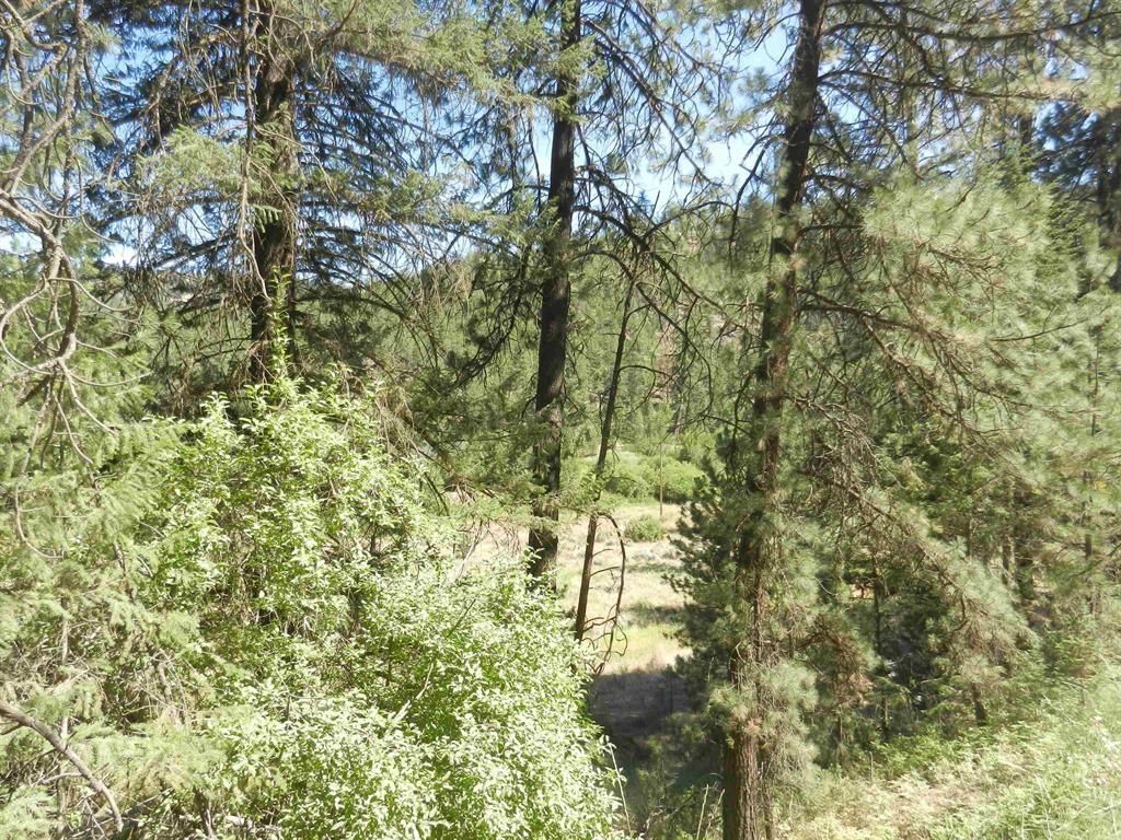 Tracts 126/127 Hawk Creek Ranch Rd North Rd, Davenport, WA 99122 photo 2