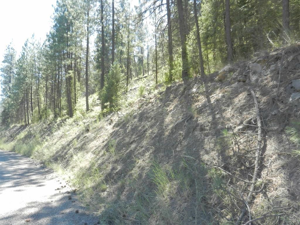Tracts 126/127 Hawk Creek Ranch Rd North Rd, Davenport, WA 99122 photo 3