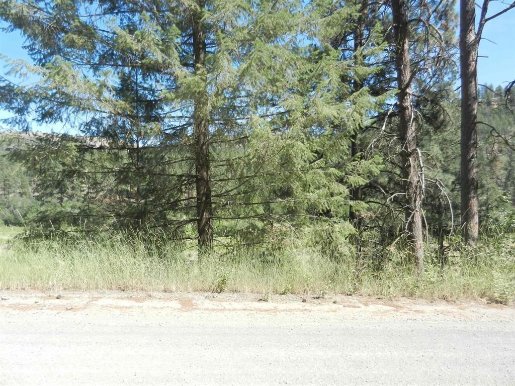 Tracts 126/127 Hawk Creek Ranch Rd North Rd, Davenport, WA 99122 photo 4