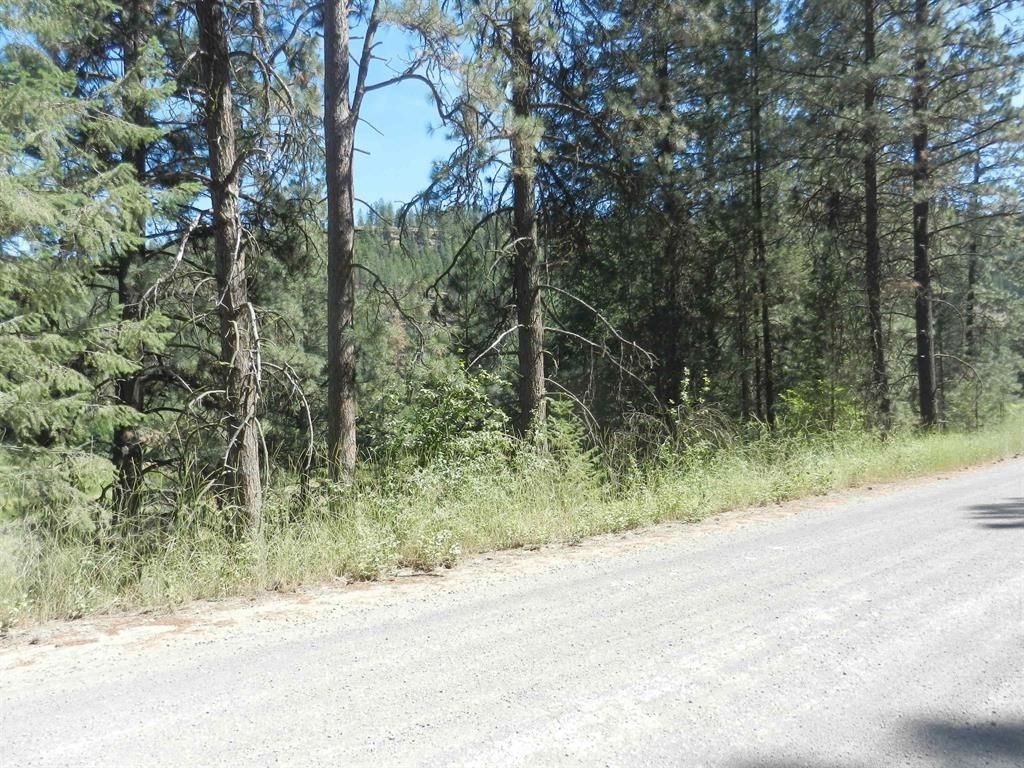 Tracts 126/127 Hawk Creek Ranch Rd North Rd, Davenport, WA 99122 photo 5