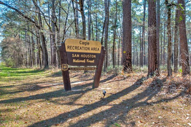 LOT 13 Homestead Hill Road, New Waverly, TX 77358