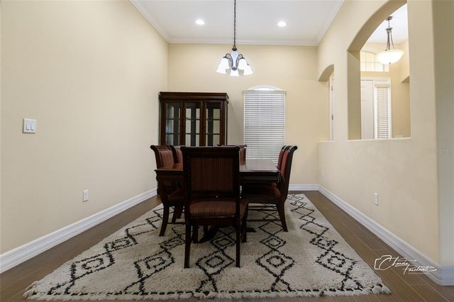 19305 YELLOW CLOVER DRIVE, Tampa, FL 33647