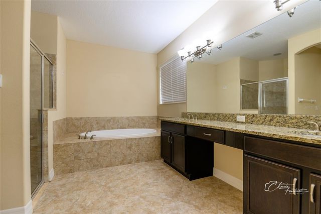 19305 YELLOW CLOVER DRIVE, Tampa, FL 33647