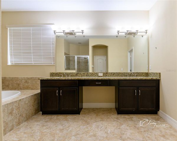 19305 YELLOW CLOVER DRIVE, Tampa, FL 33647