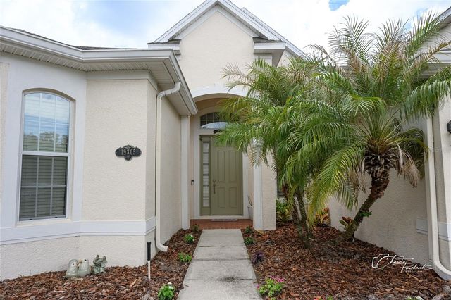 19305 YELLOW CLOVER DRIVE, Tampa, FL 33647