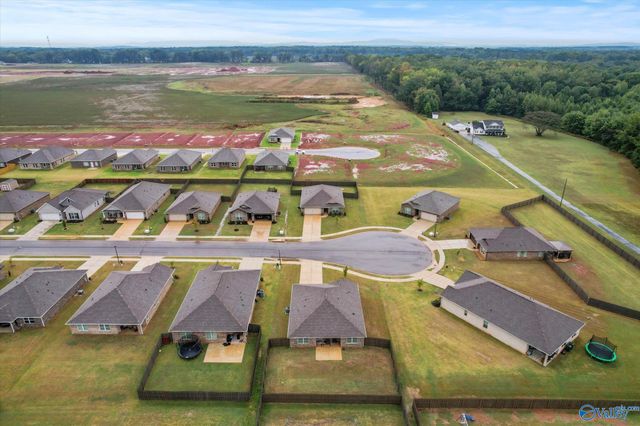 155 Hazel Pine Trail, Hazel Green, AL 35750