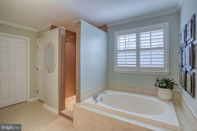 241 WICKERBERRY DR, Middletown, DE 19709