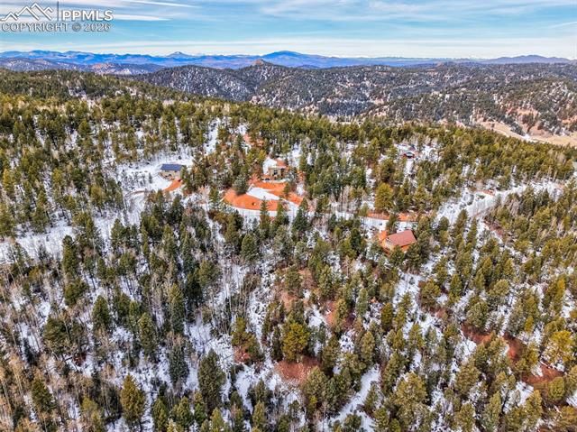 1181 Calcite Drive, Divide, CO 80814