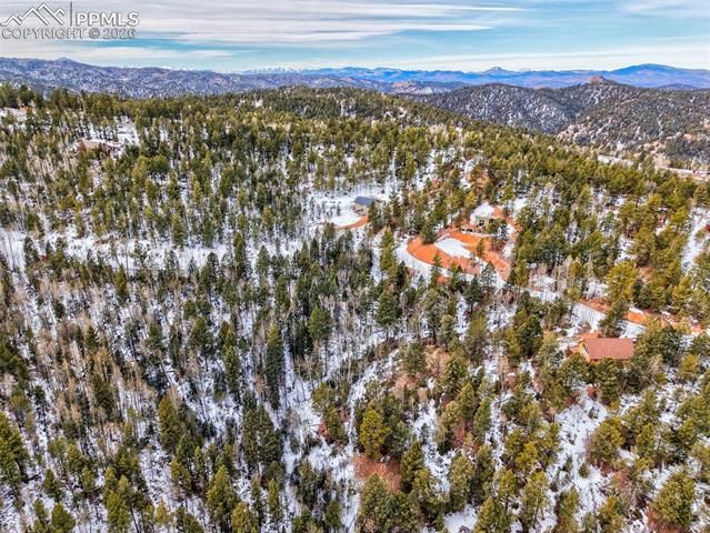 1181 Calcite Drive, Divide, CO 80814