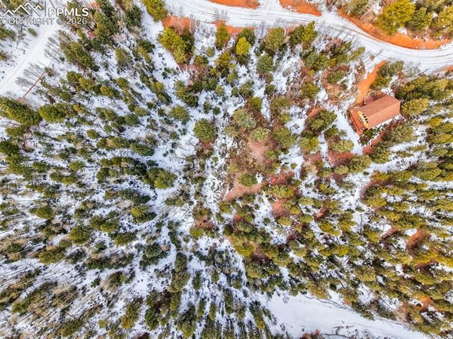 1181 Calcite Drive, Divide, CO 80814