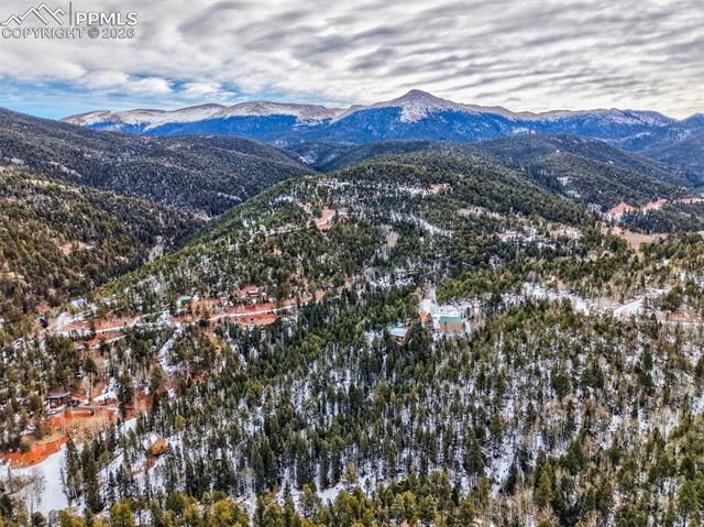1181 Calcite Drive, Divide, CO 80814