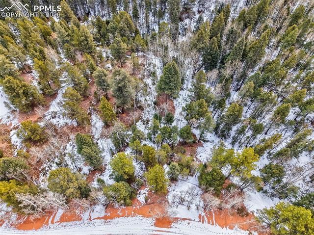 1181 Calcite Drive, Divide, CO 80814