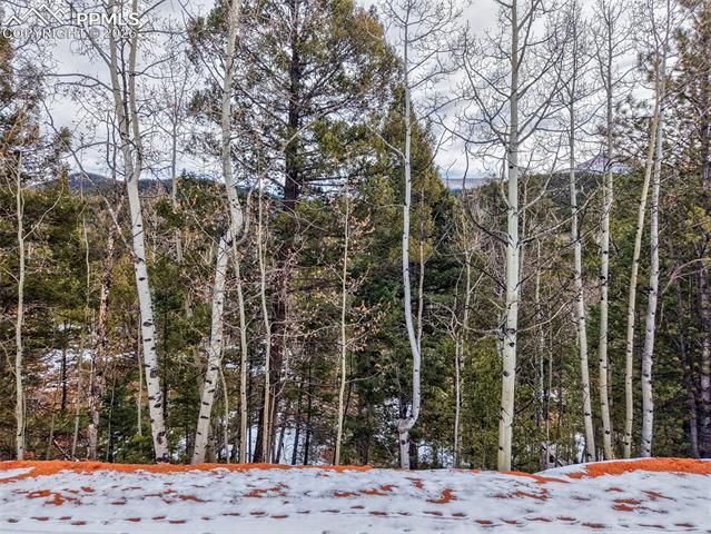 1181 Calcite Drive, Divide, CO 80814