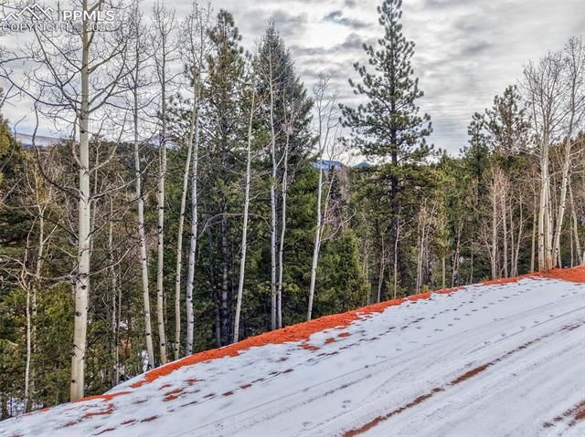 1181 Calcite Drive, Divide, CO 80814