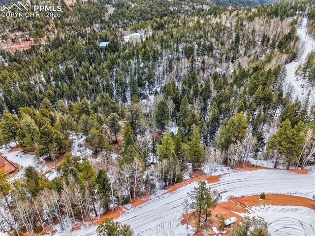 1181 Calcite Drive, Divide, CO 80814