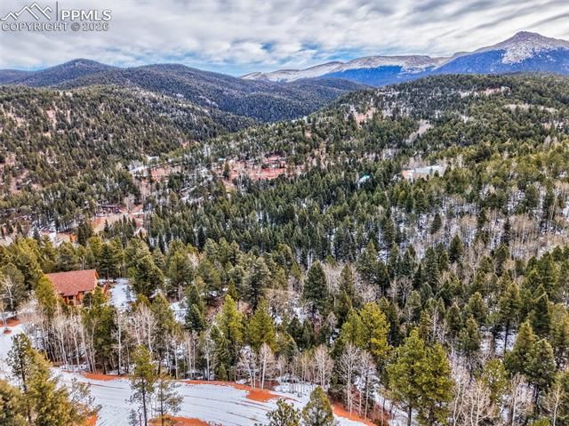 1181 Calcite Drive, Divide, CO 80814